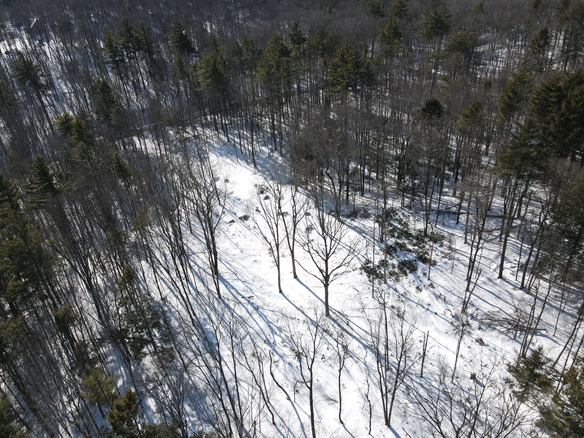 0 Fox Hill Rd Property Photo 10