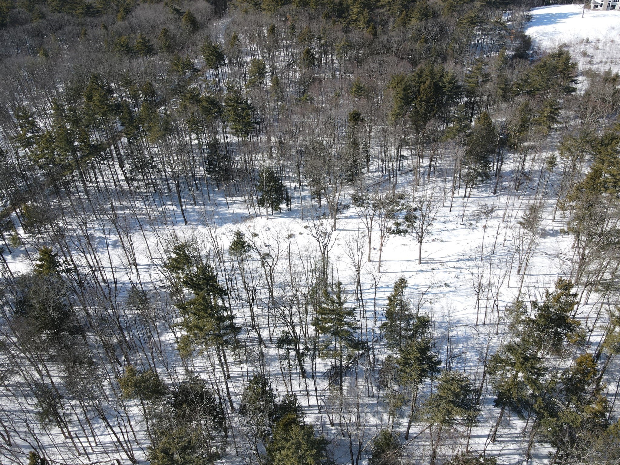 0 Fox Hill Rd Property Photo 13