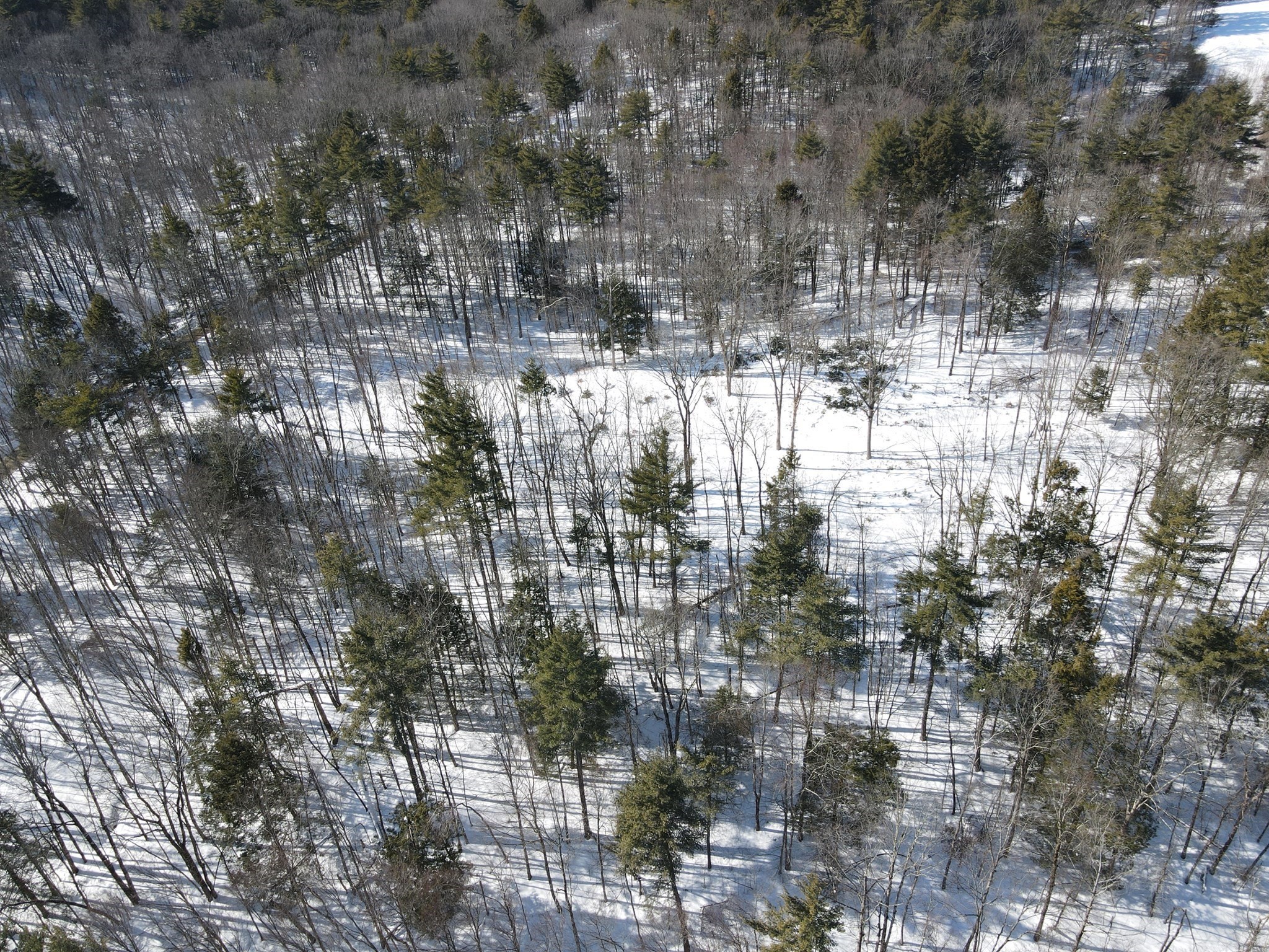 0 Fox Hill Rd Property Photo 14