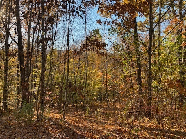 539 Fox Hill Road