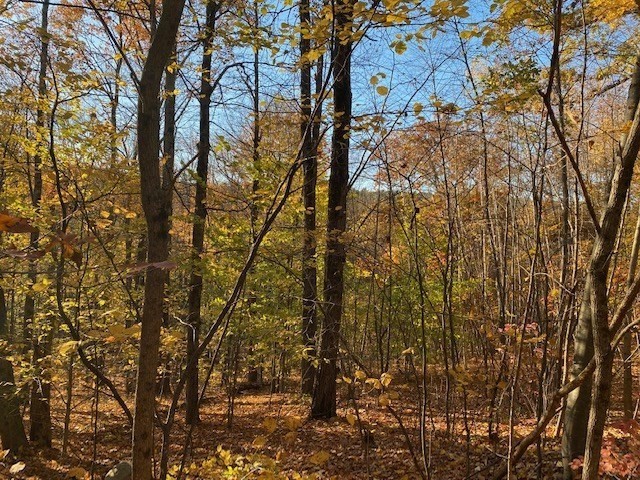 539 Fox Hill Road Property Photo 2