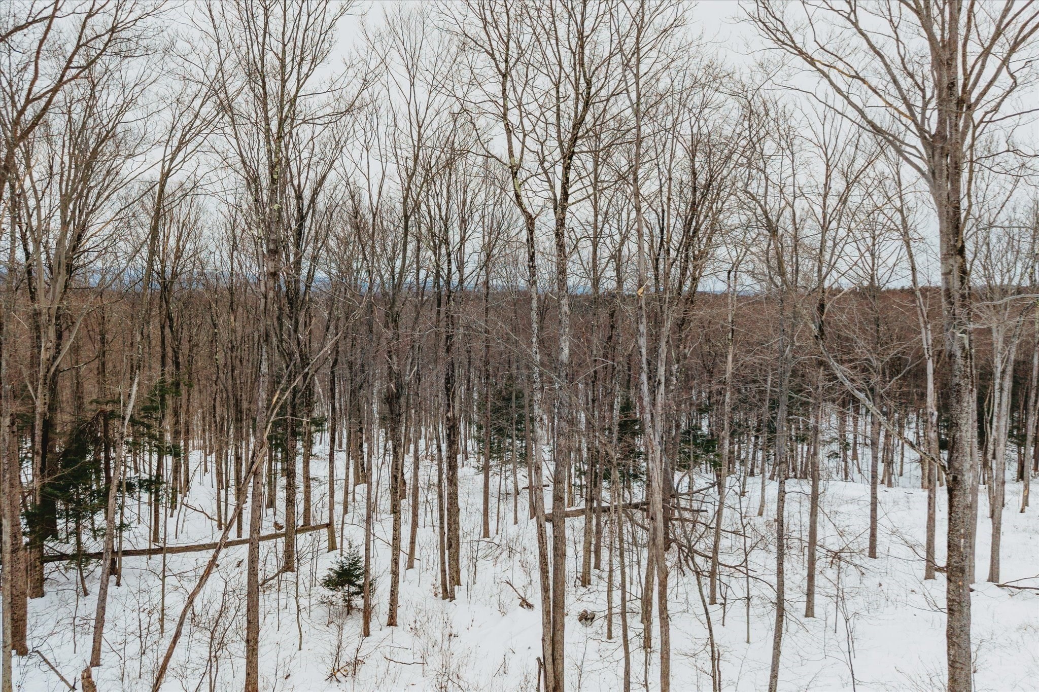 0 Blueberry Hill Rd (lot 6) Property Photo 11