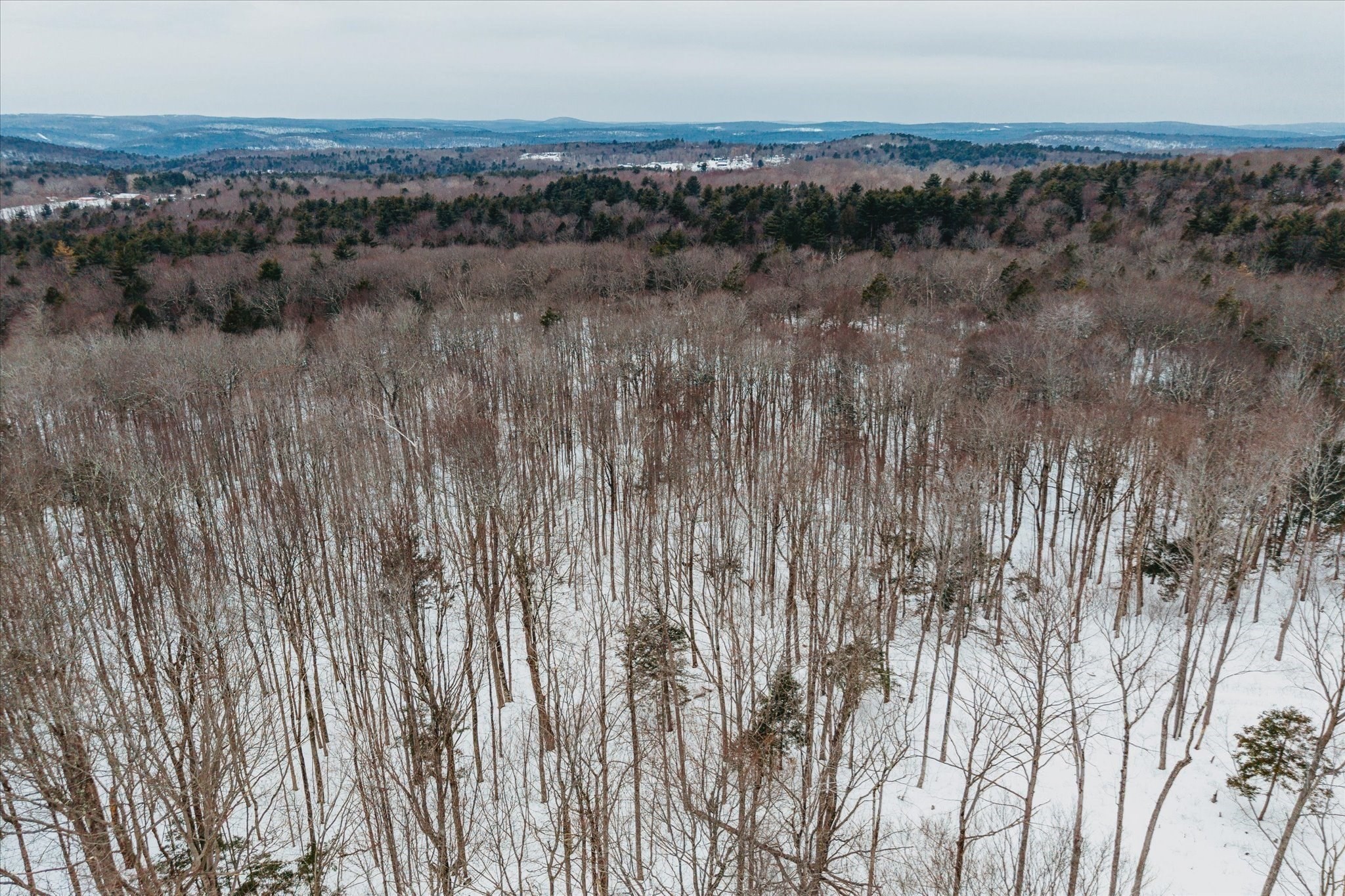0 Blueberry Hill Rd (lot 6) Property Photo 12
