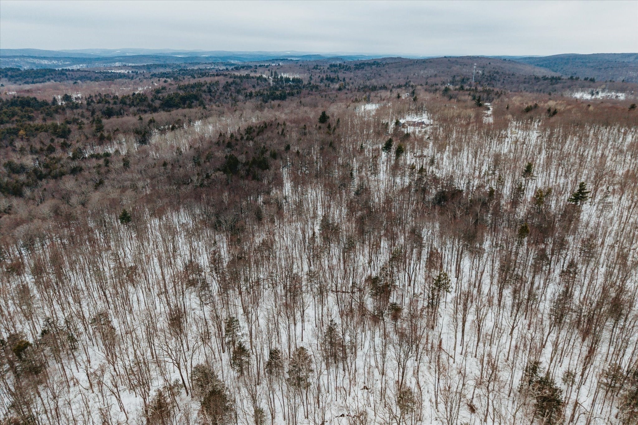 0 Blueberry Hill Rd (lot 6) Property Photo 13
