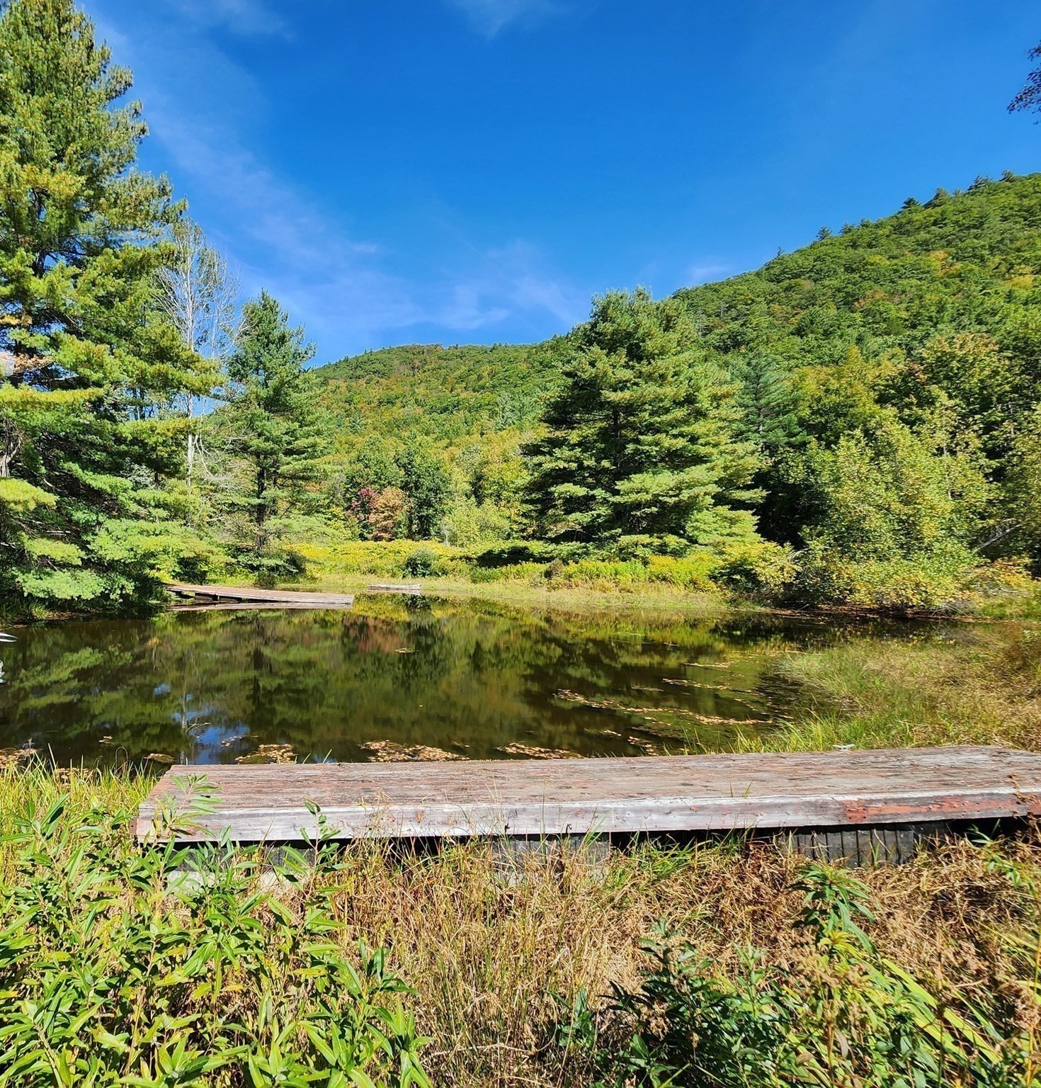 2155 Route 2 Property Photo 14