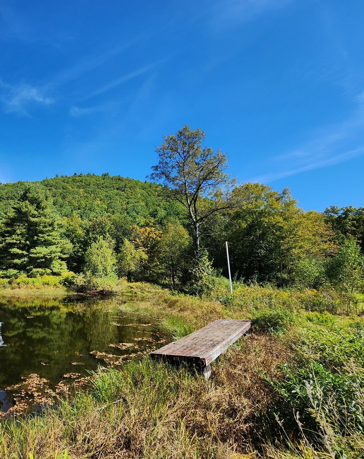 2153 Route 2 Property Photo 4