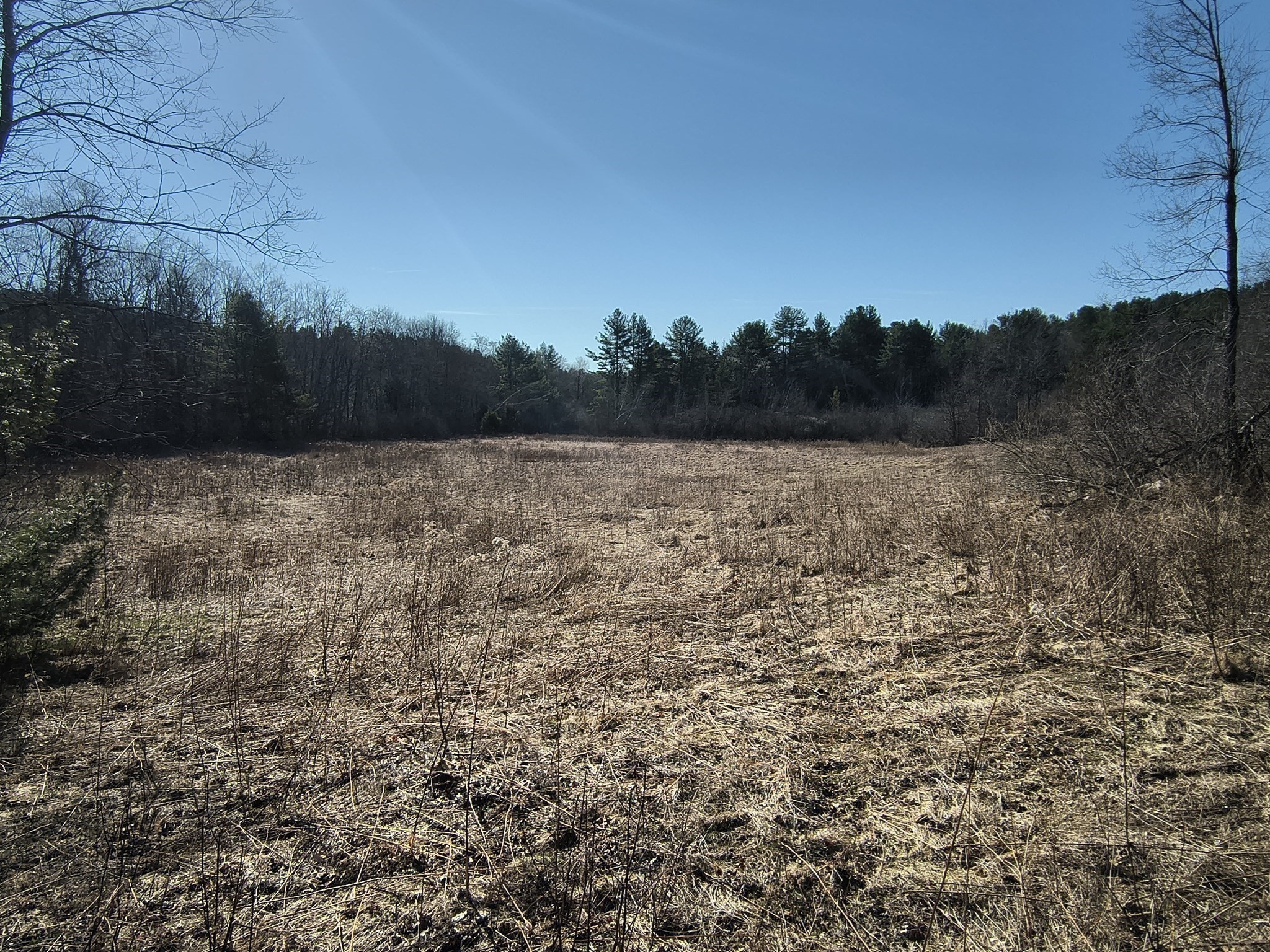 00 Capen/ Clark Road Property Photo 11