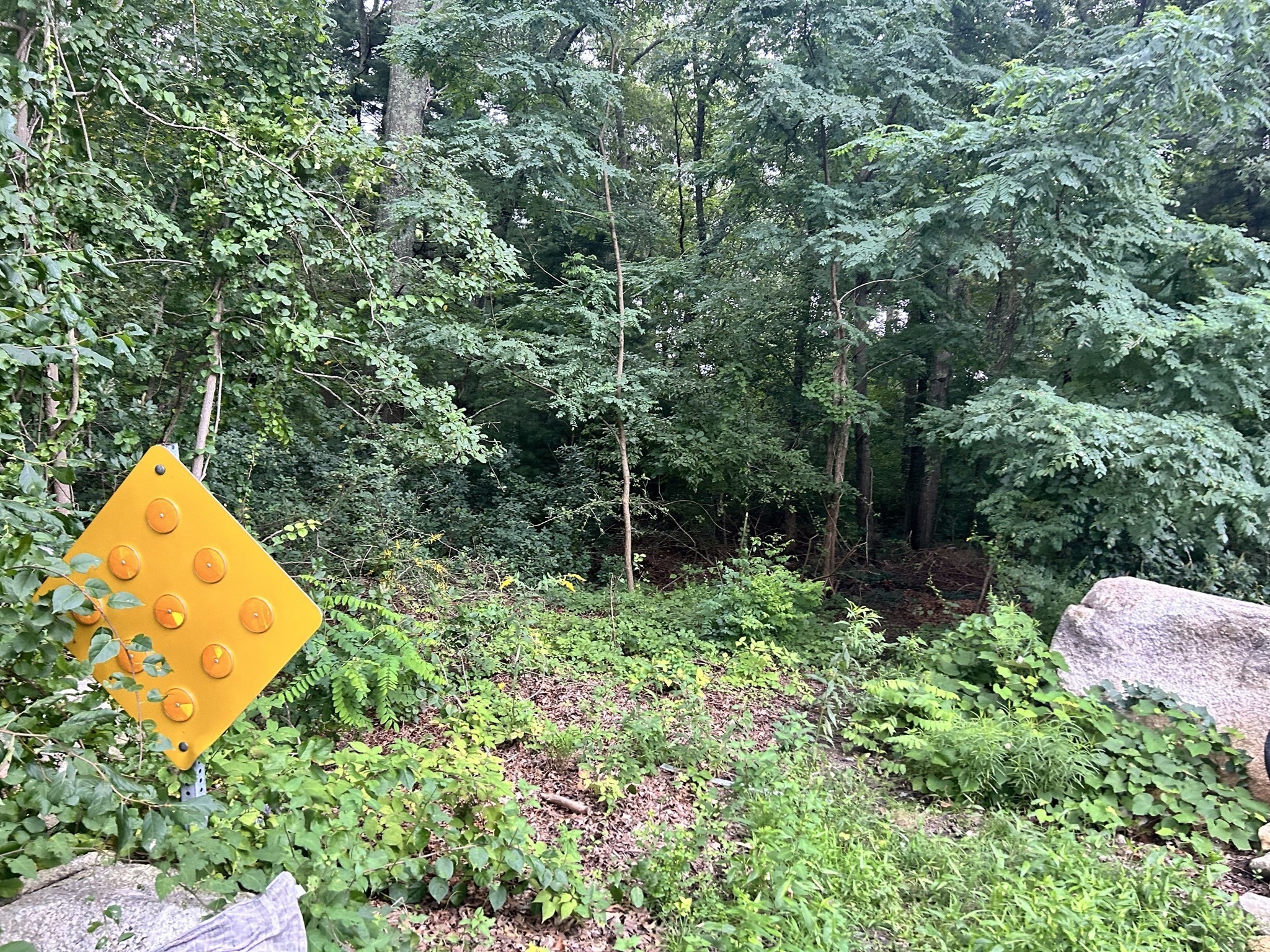 0 Land Way Property Photo 3