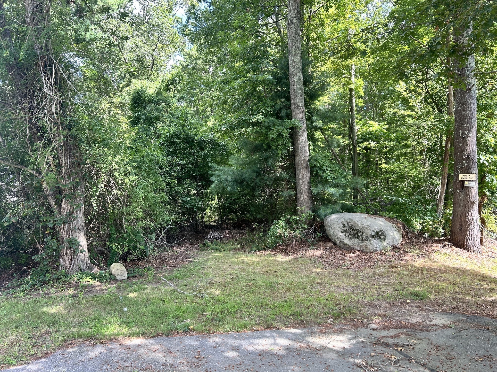 0 Land Way Property Photo 4