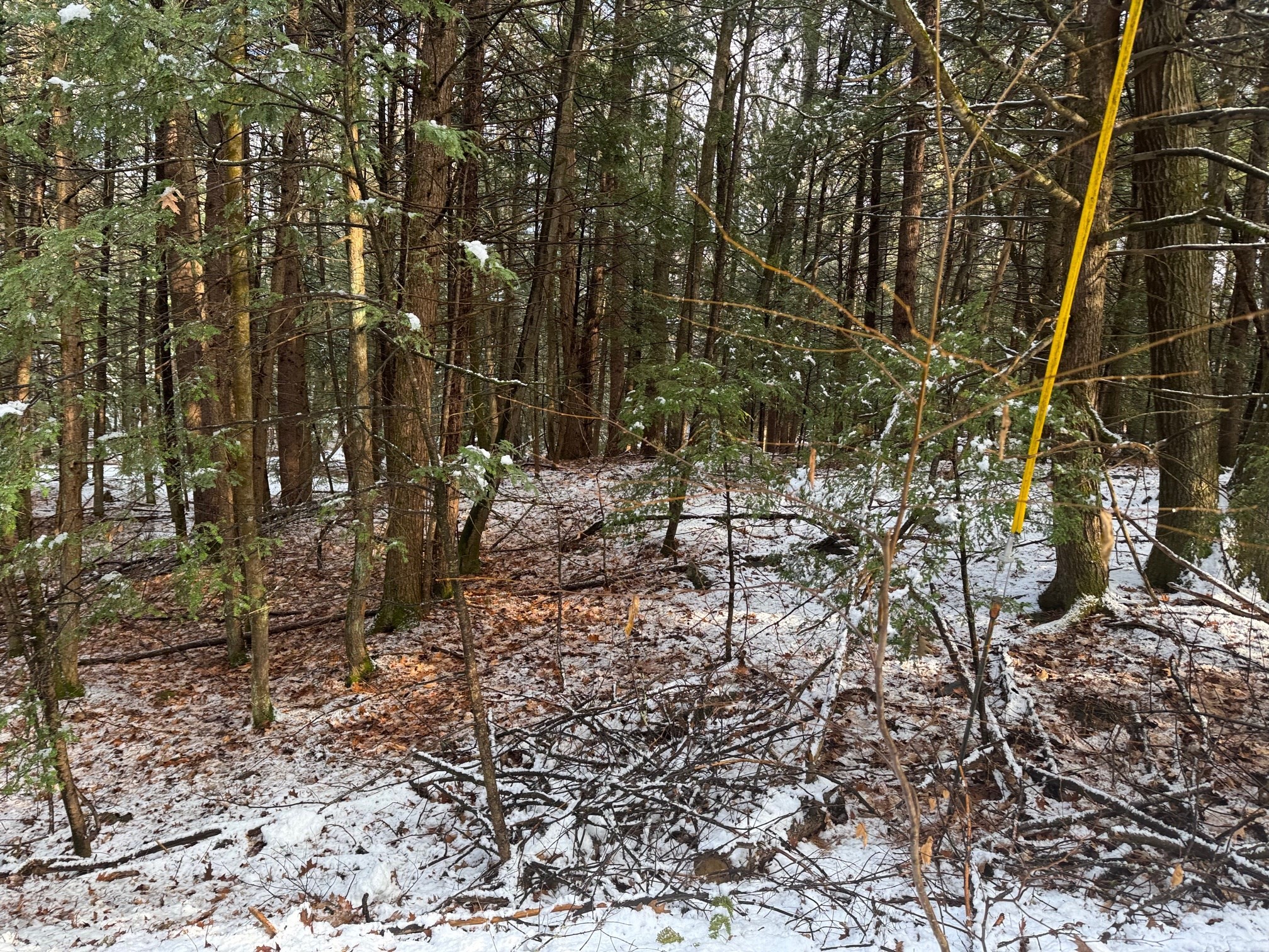 Lot 10 Christian Cir Property Photo 3