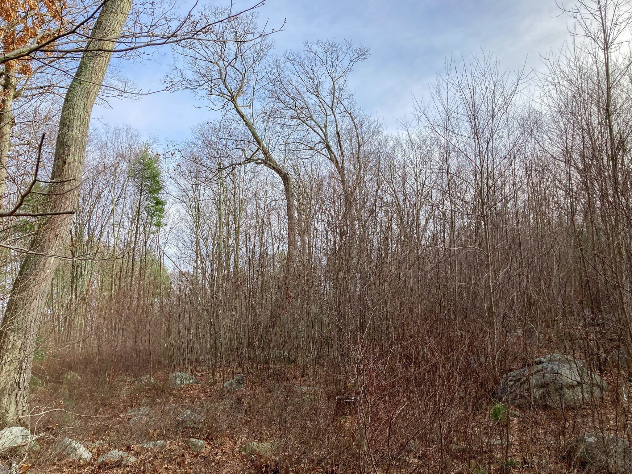 183 Blackstone St Property Photo 7