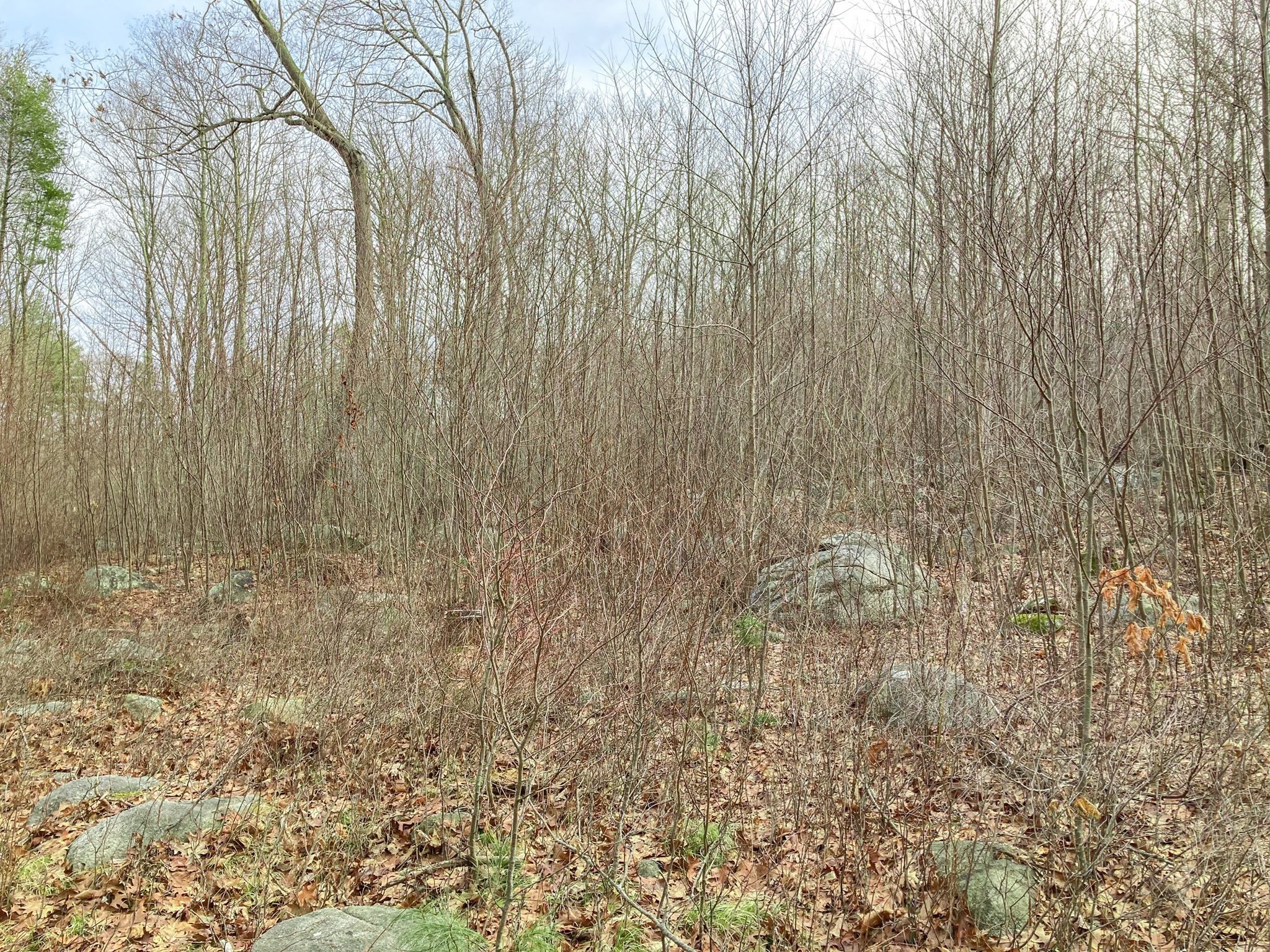 183 Blackstone St Property Photo 9
