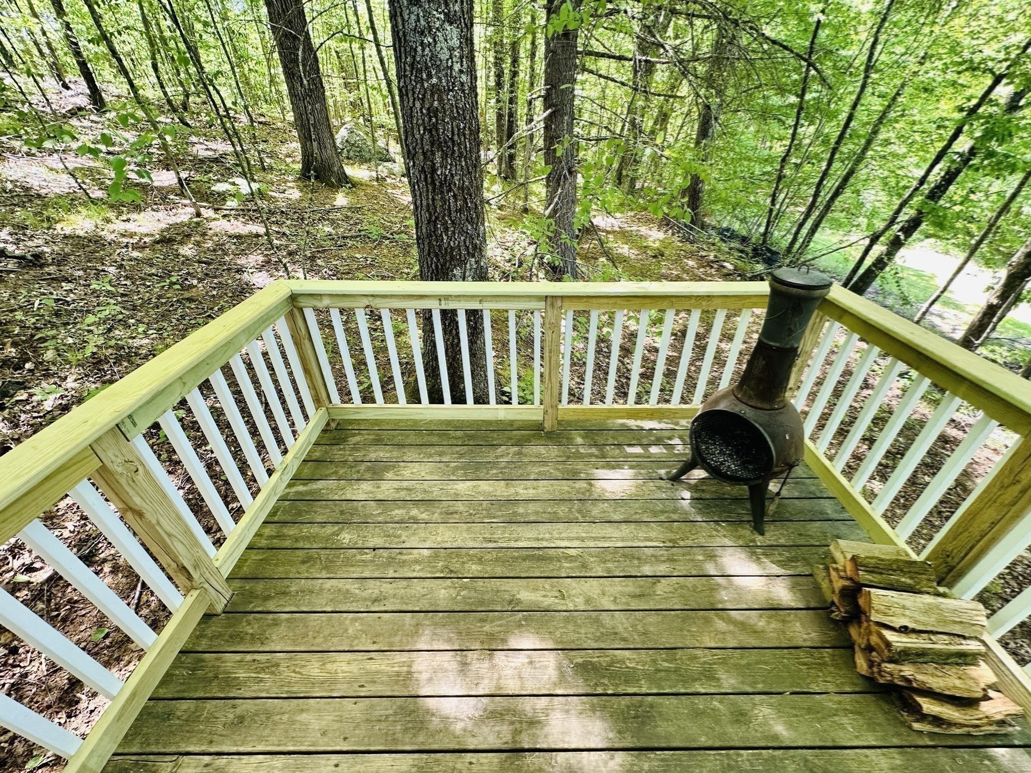 1107 Jackson Rd Property Photo 39