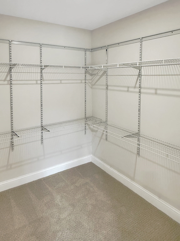 1 Whitman Circle # 1 Property Photo 12