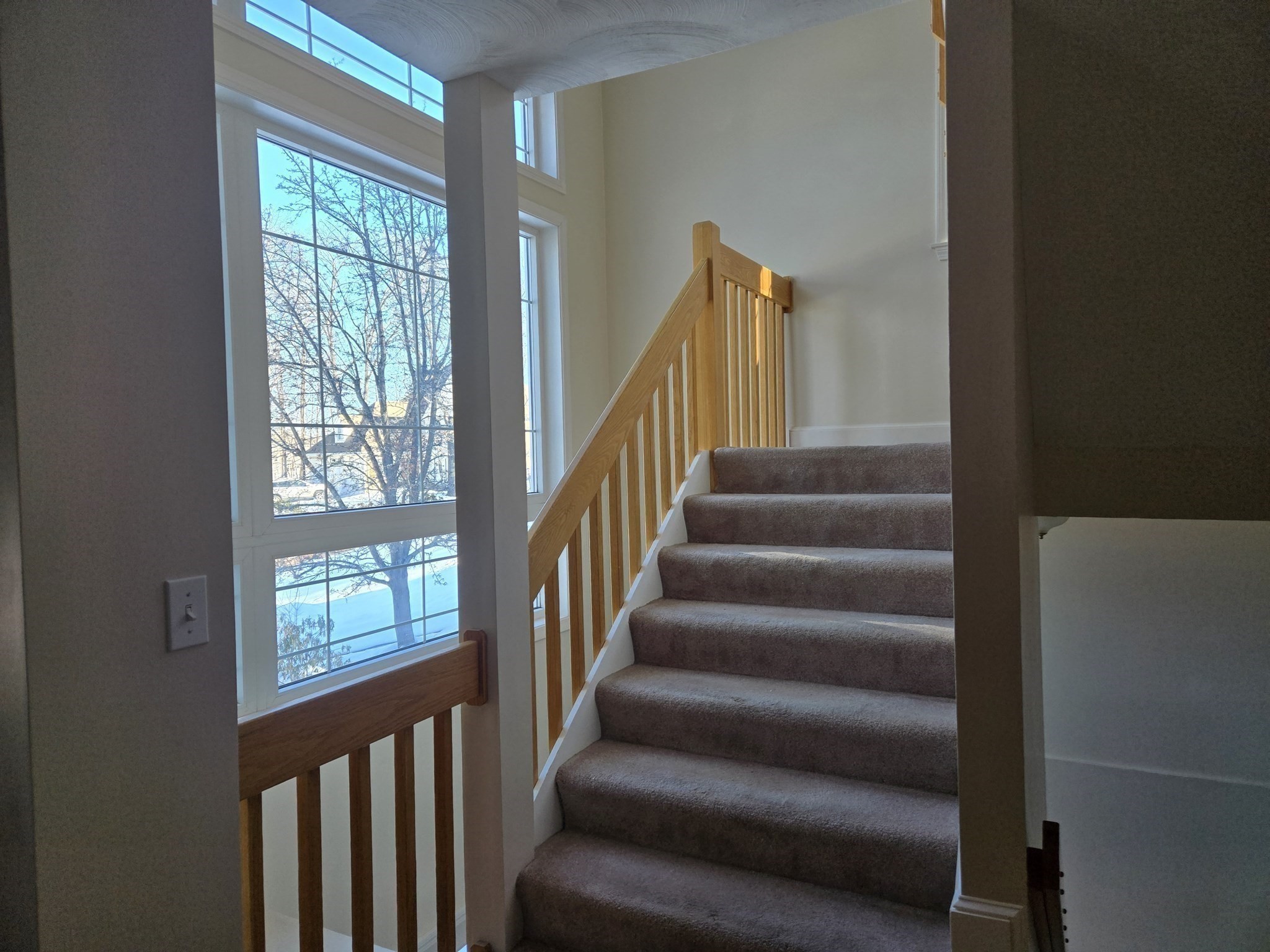 7 Tree Top Way Property Photo 15