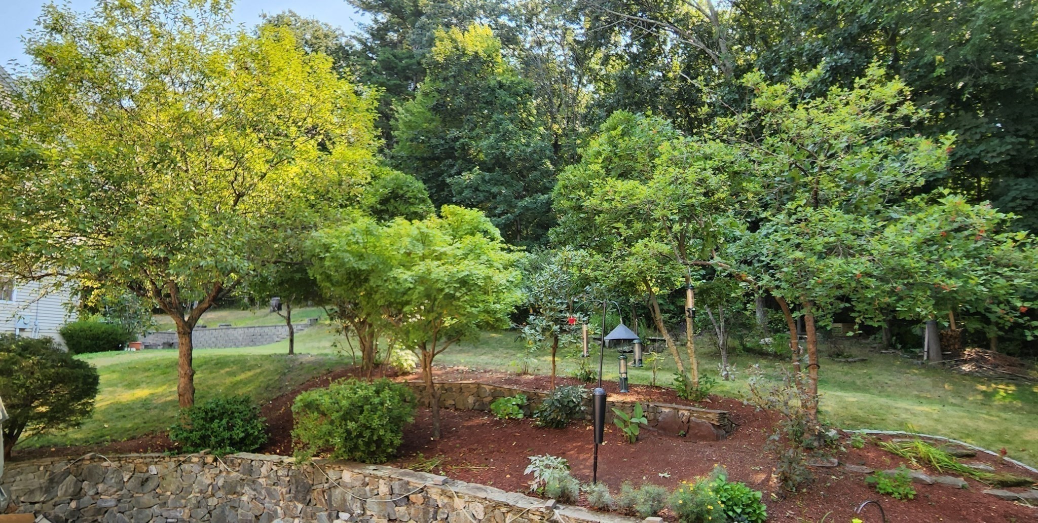 7 Tree Top Way Property Photo 36