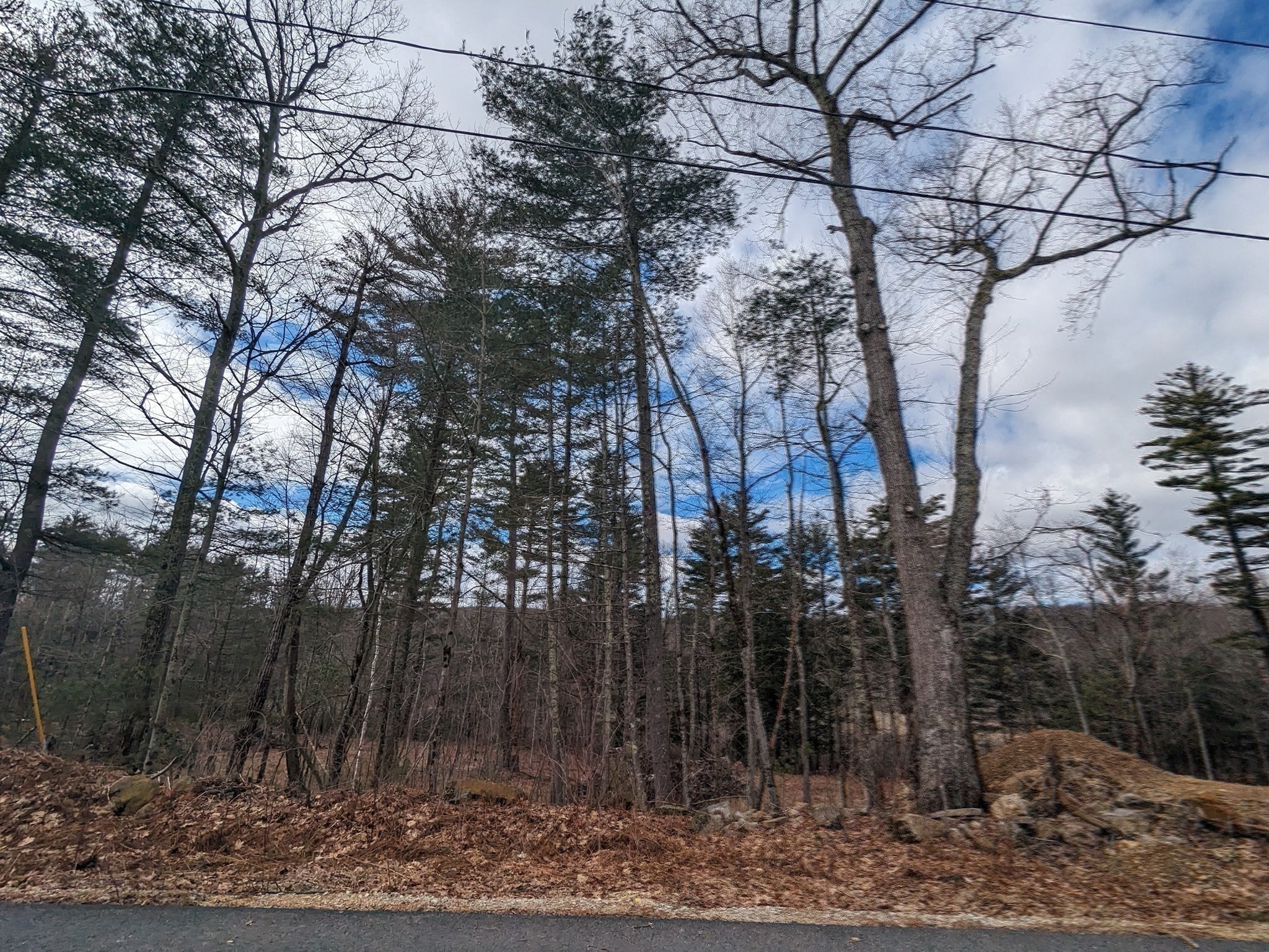 Lot 5 /510 Old County Rd. Property Photo 34