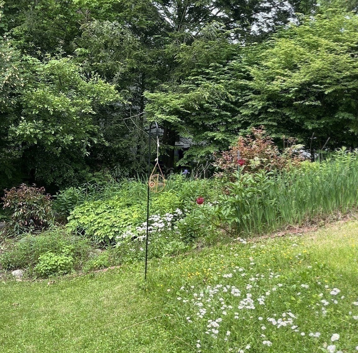 50 Mount Pleasant Property Photo 3