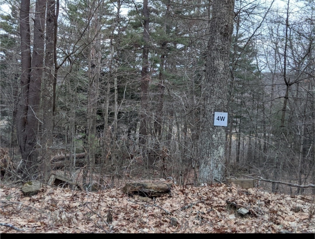 508 Old County Rd. Property Photo 32