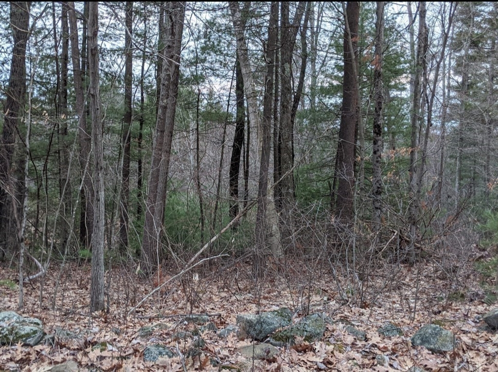 508 Old County Rd. Property Photo 33