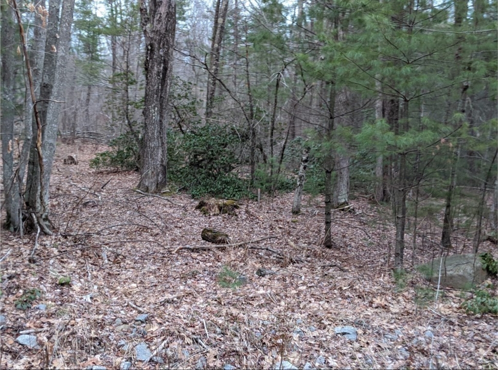 508 Old County Rd. Property Photo 34