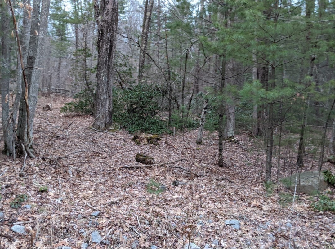 508 Old County Rd. Property Photo 34
