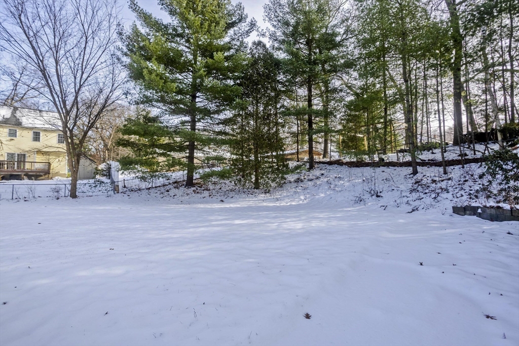 647 Plumtree Rd Property Photo 21