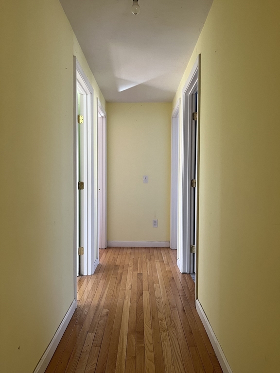 10 George St Property Photo 16