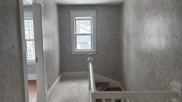 53 Texel Dr Property Photo 18