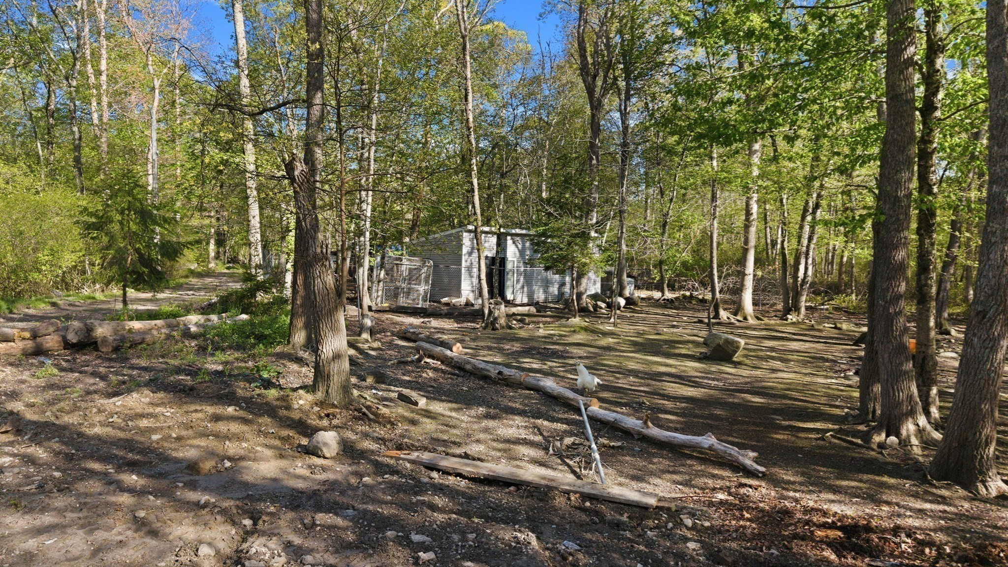 270 Brayton Rd Property Photo 9