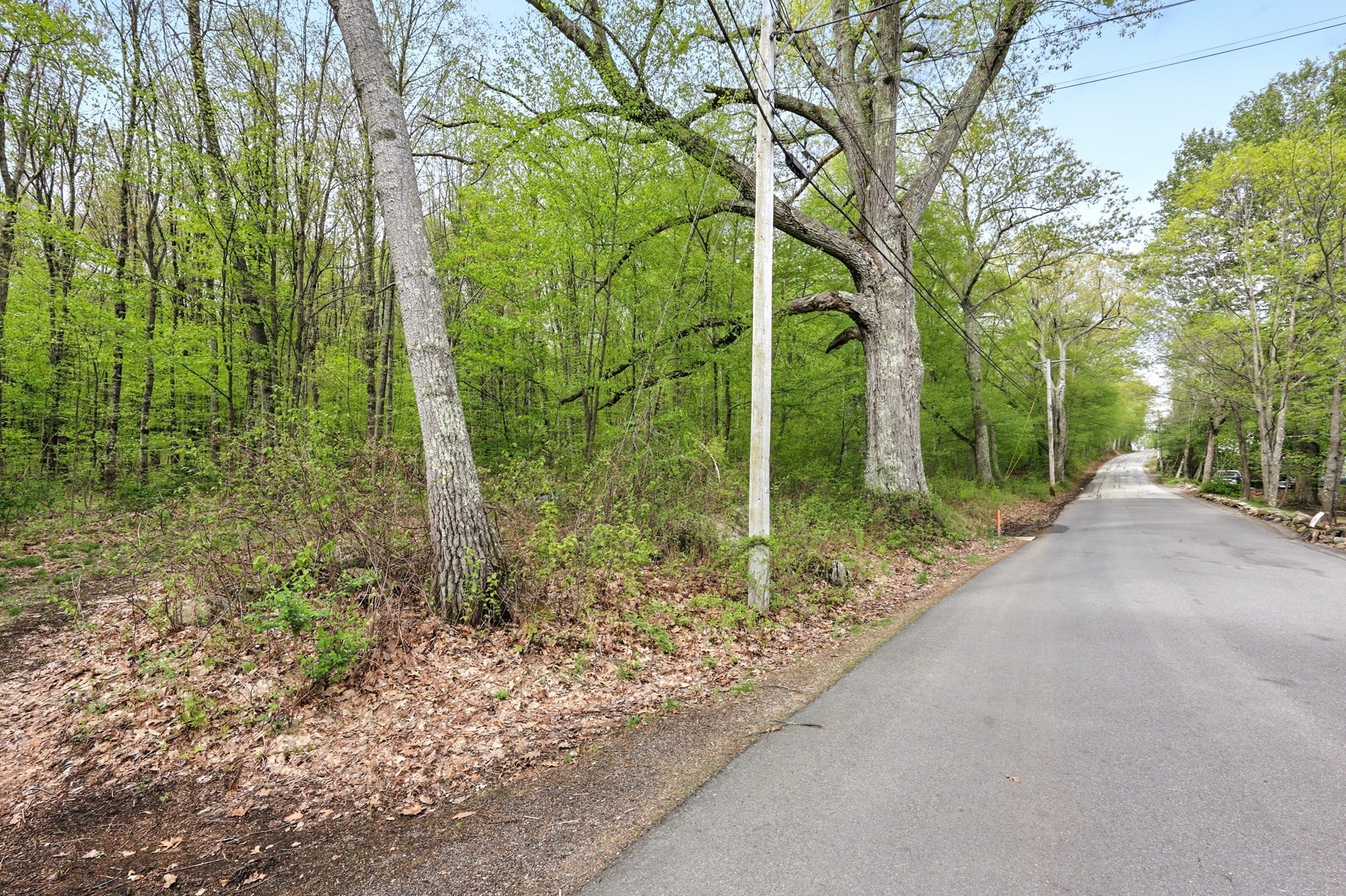 Lot 4 Reed Street Property Photo 2