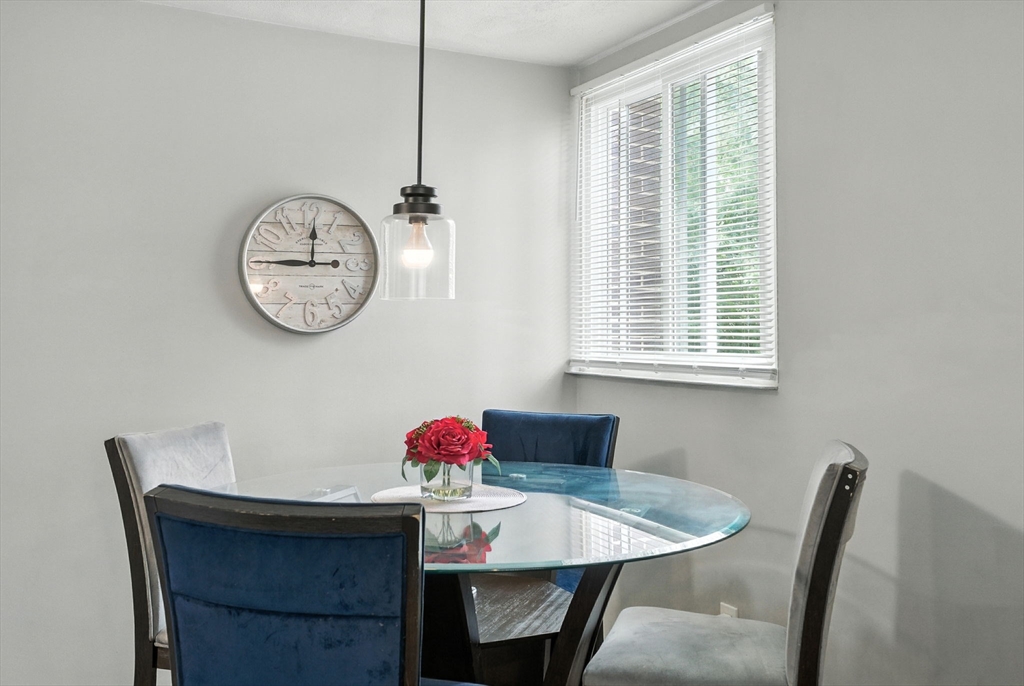 101 Waite Street # B5 Property Photo 11