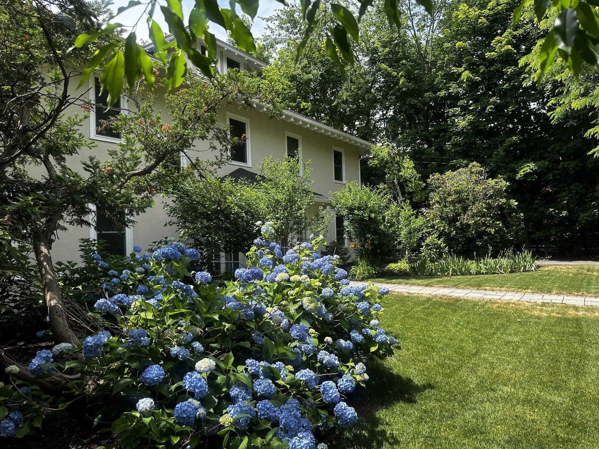 524 Ward St Property Photo 4
