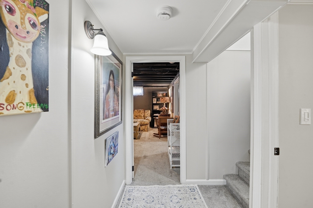 14 Dorothy Ave Property Photo 18