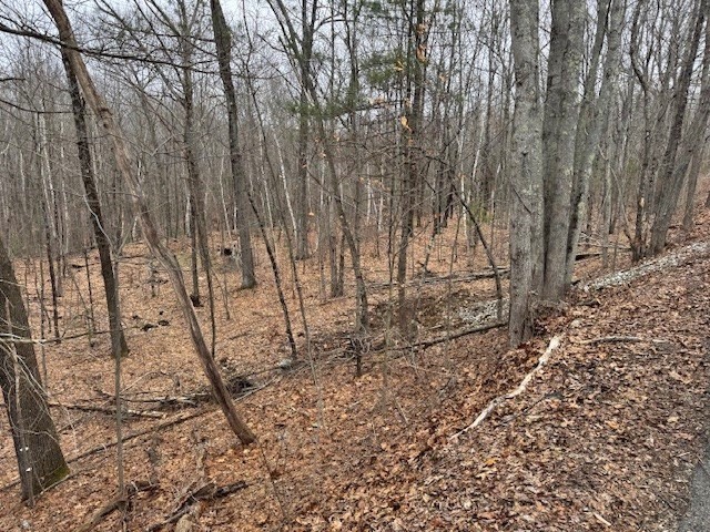 Lot 2 Gould Road Property Photo 3