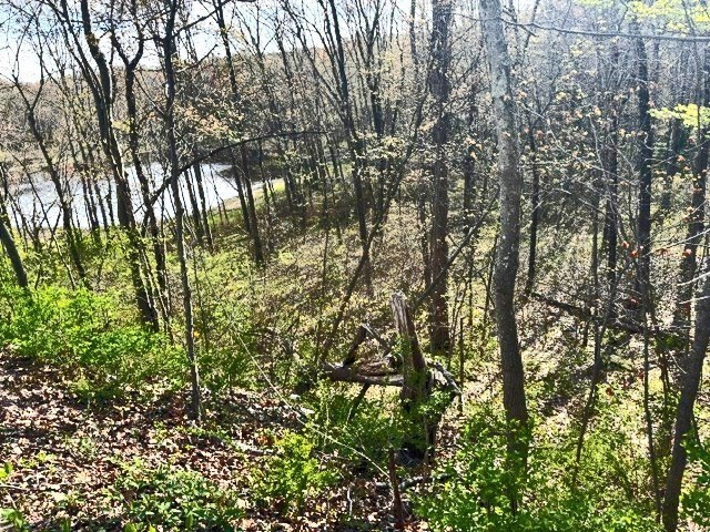 Lot 3 Gould Road Property Photo 2