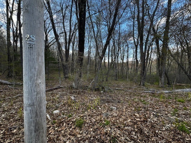 Lot 4 Gould Road Property Photo 2