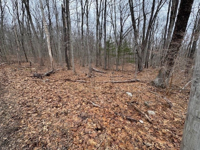 Lot 4 Gould Road Property Photo 4