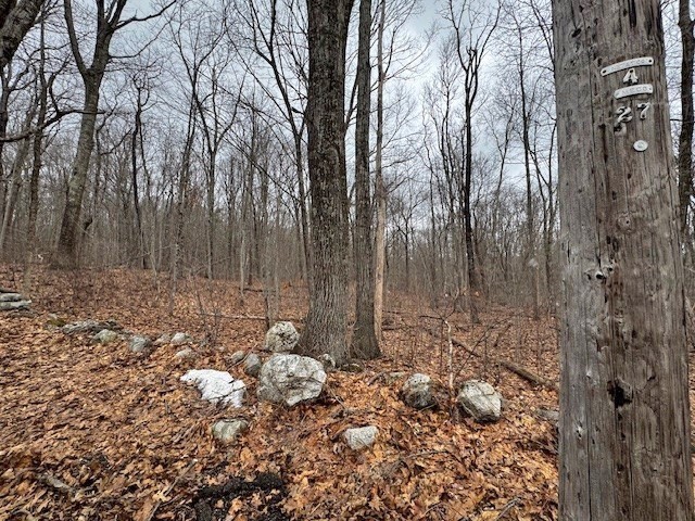 Lot 5 Gould Road Property Photo 2