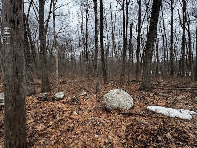 Lot 5 Gould Road Property Photo 4