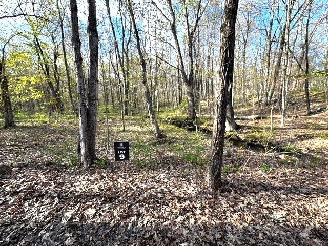 Lot 9 Gould Road Property Photo 2