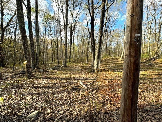 Lot 9 Gould Road Property Photo 3