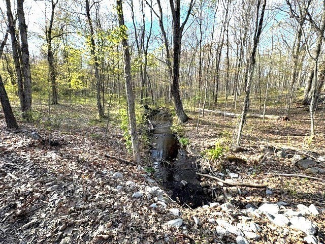 Lot 9 Gould Road Property Photo 4