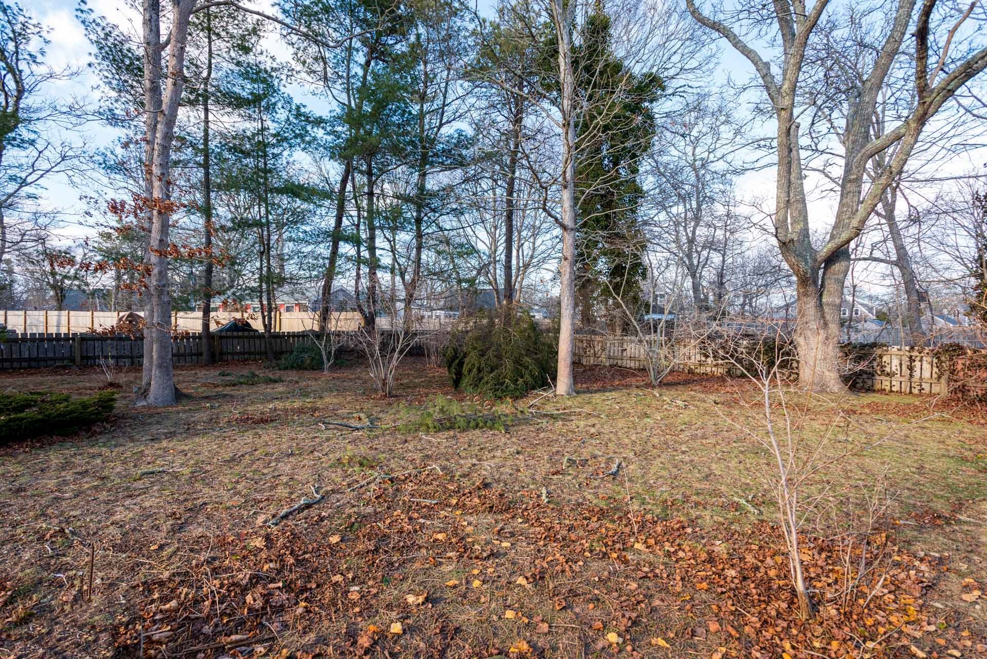 17 Chapman La Property Photo 26