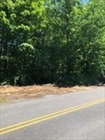 0 Auburn Road Property Photo 1