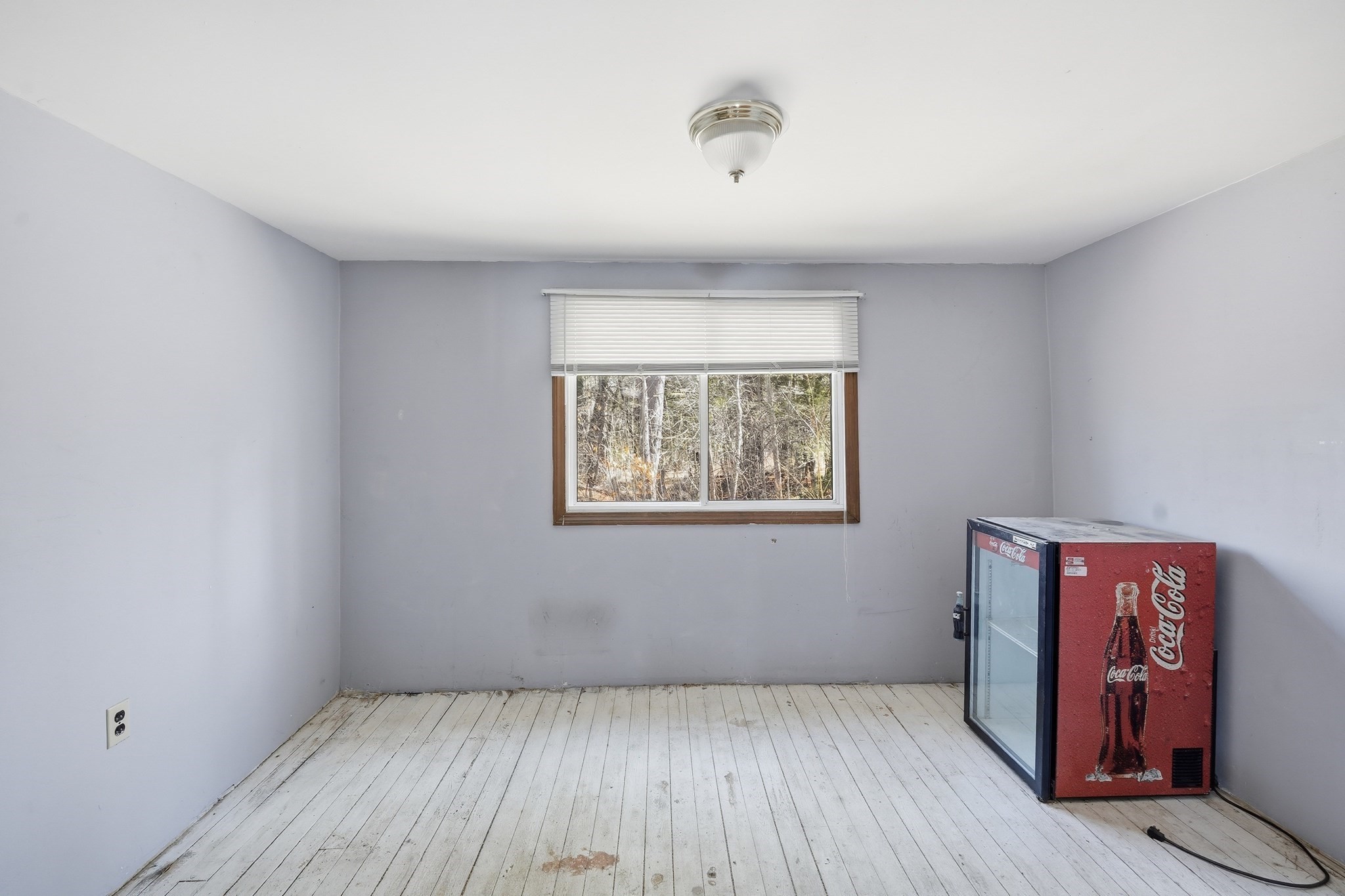 5 Torrey St Property Photo 9