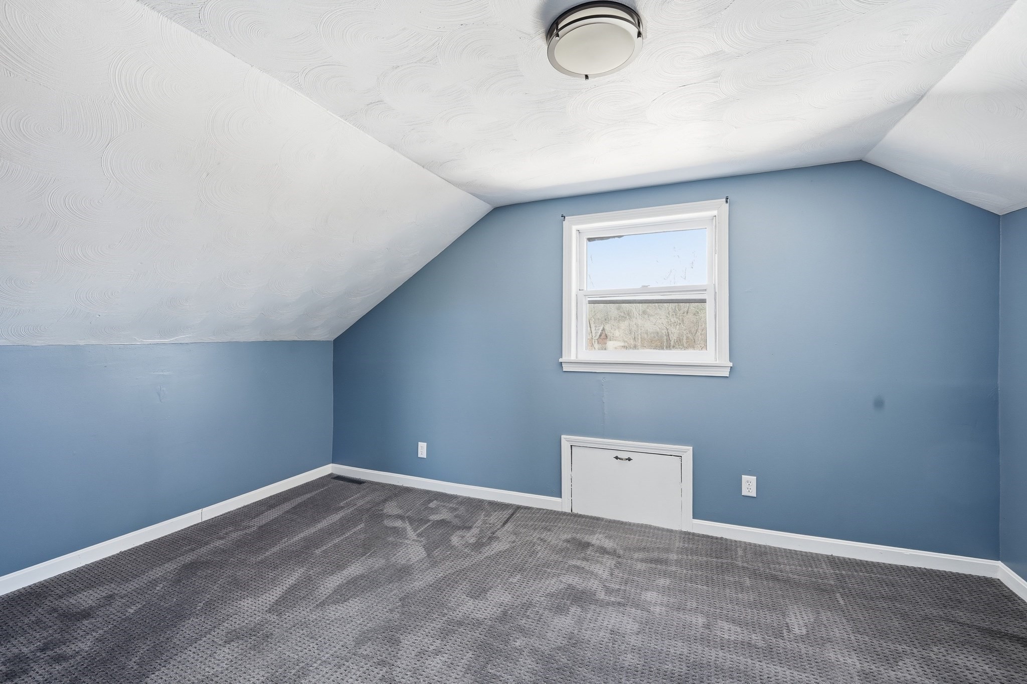 5 Torrey St Property Photo 16