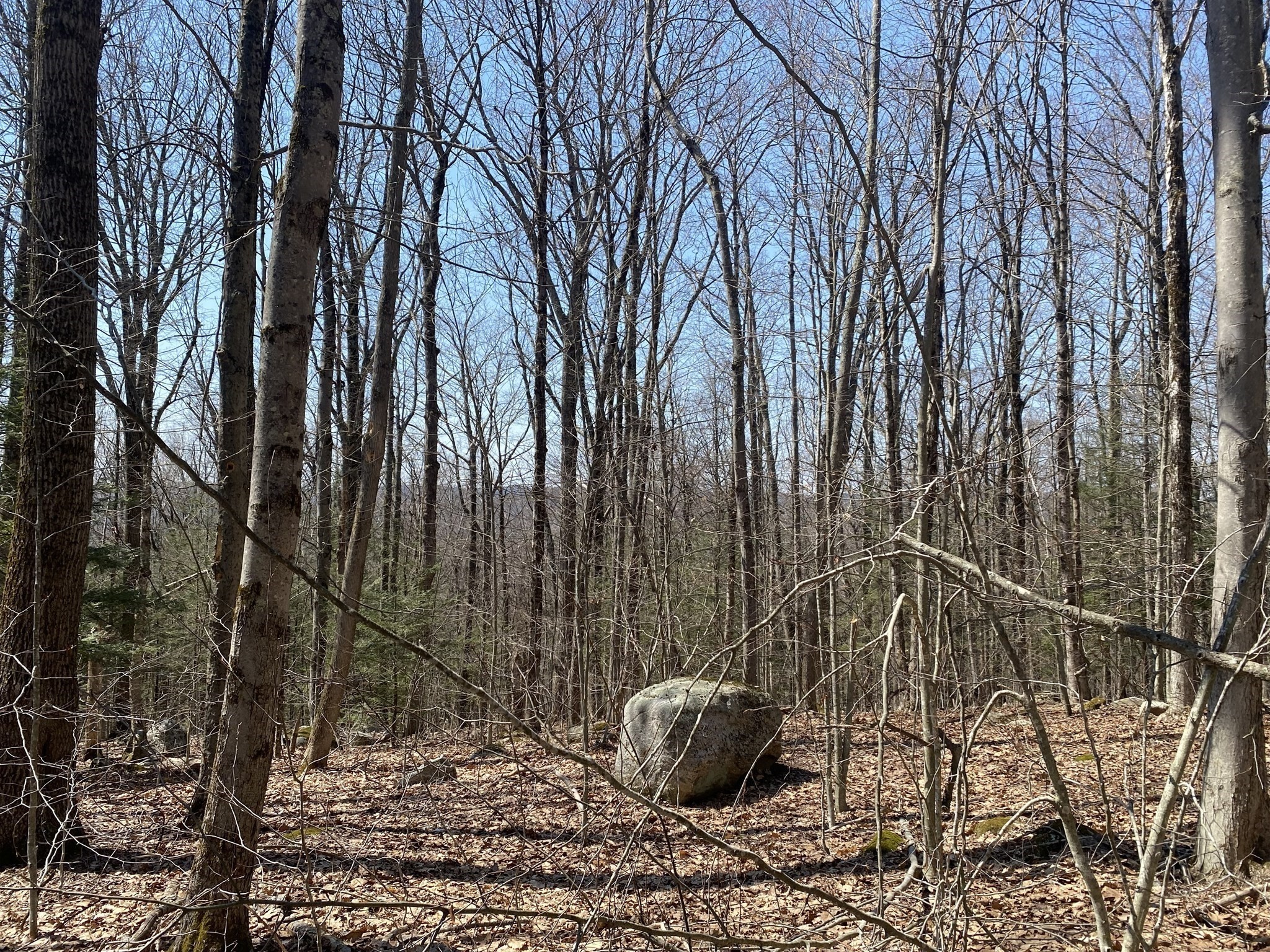 Lot 15 Colebrook River Rd Property Photo 1
