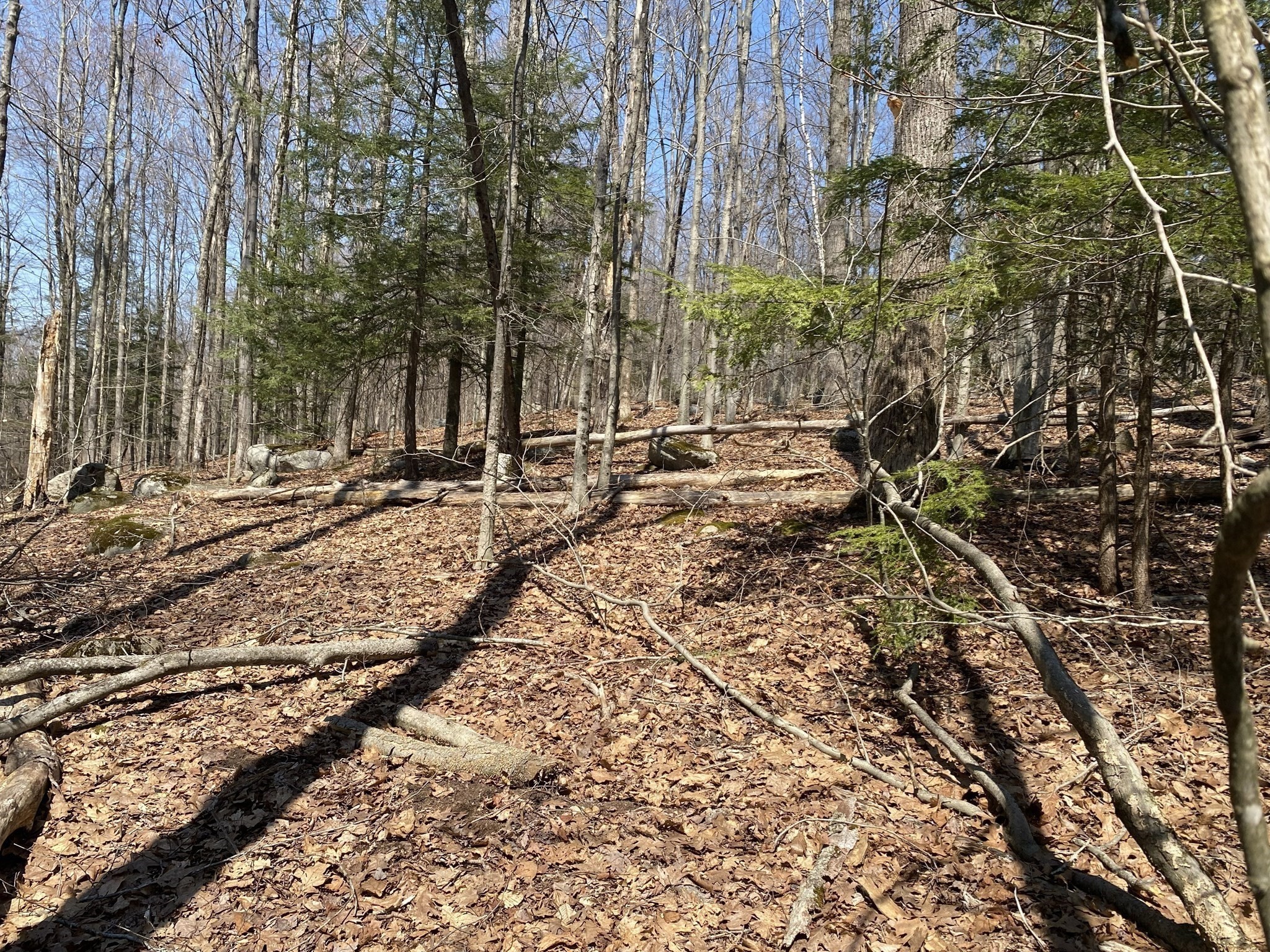 Lot 15 Colebrook River Rd Property Photo 2