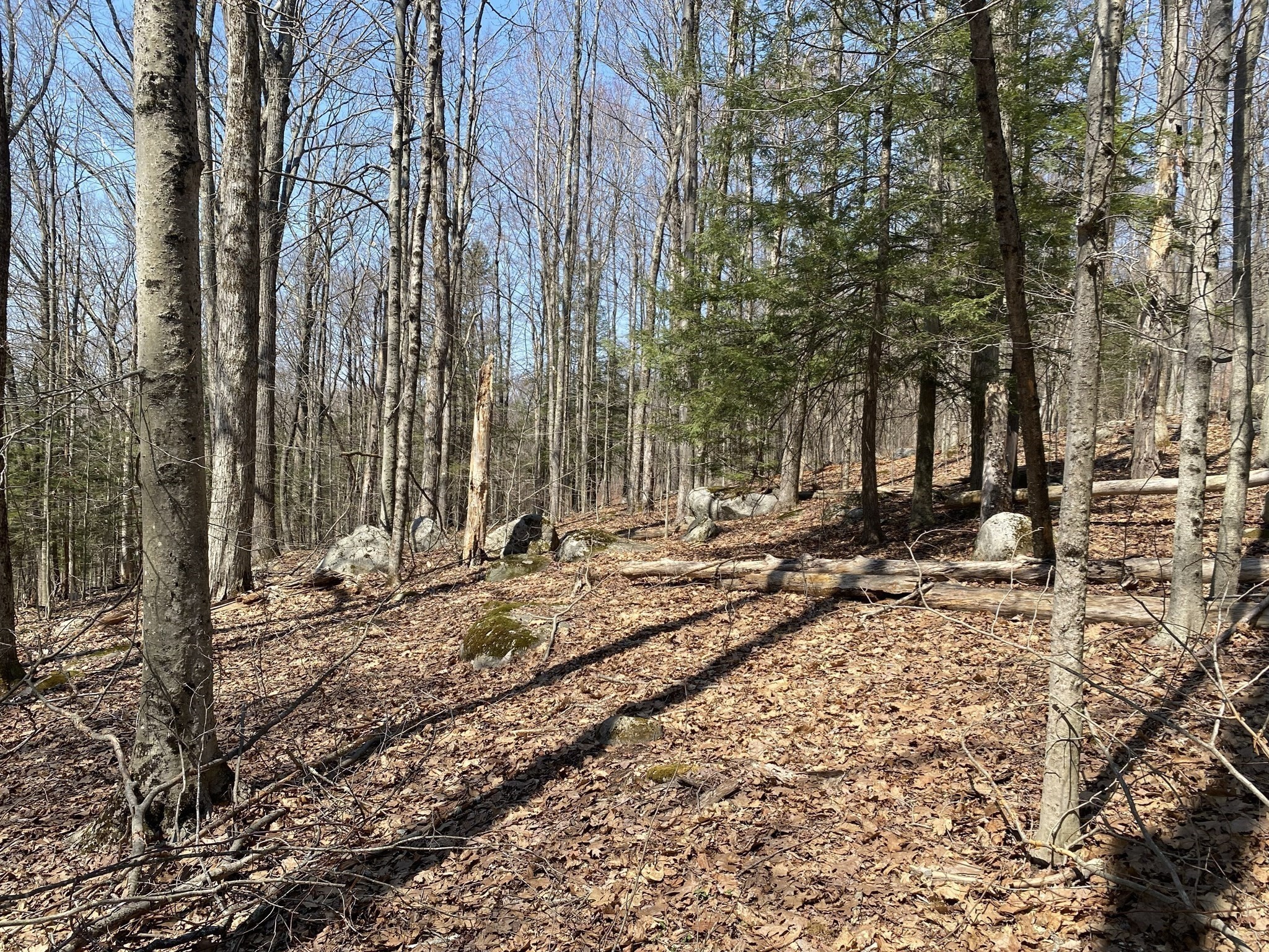Lot 15 Colebrook River Rd Property Photo 3
